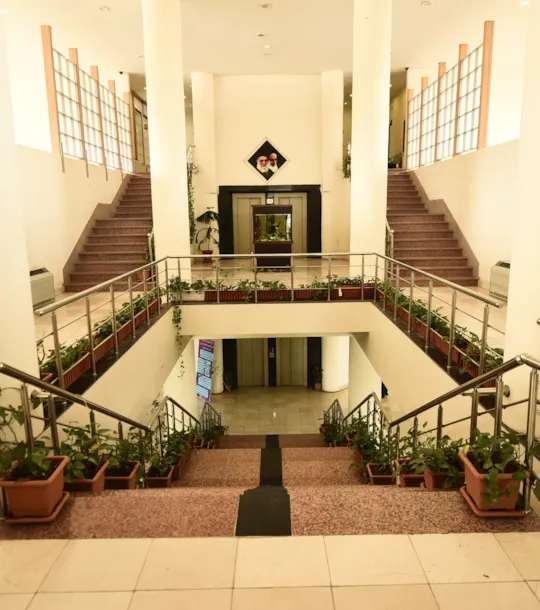 بلدیة المنطقة 13