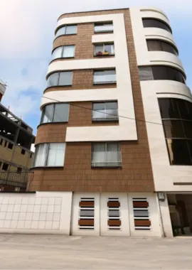 عمارة السید نصر السکنى